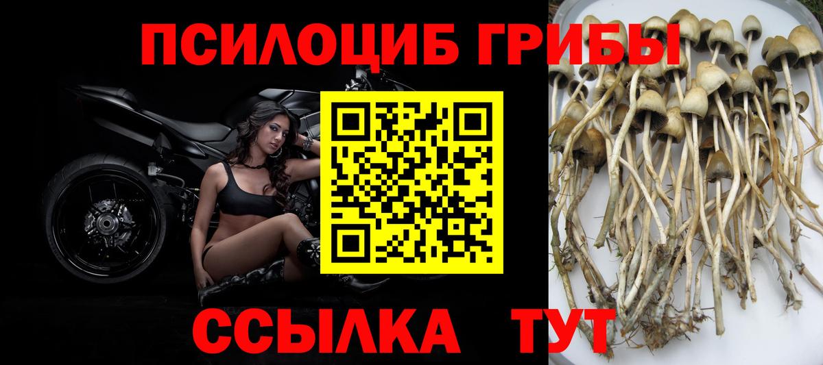 Галлюциногенные грибы мицелий  Вход с VPN  Энгельс 